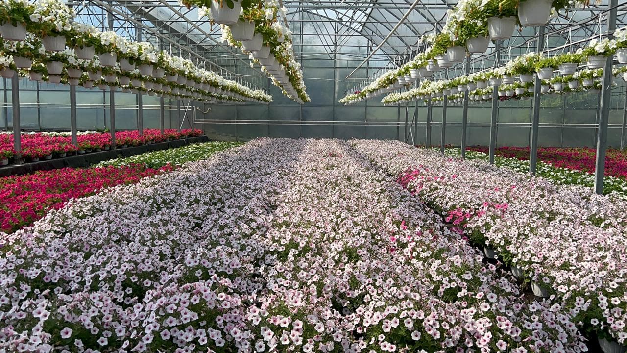 Plantpol-Ukraine LLC