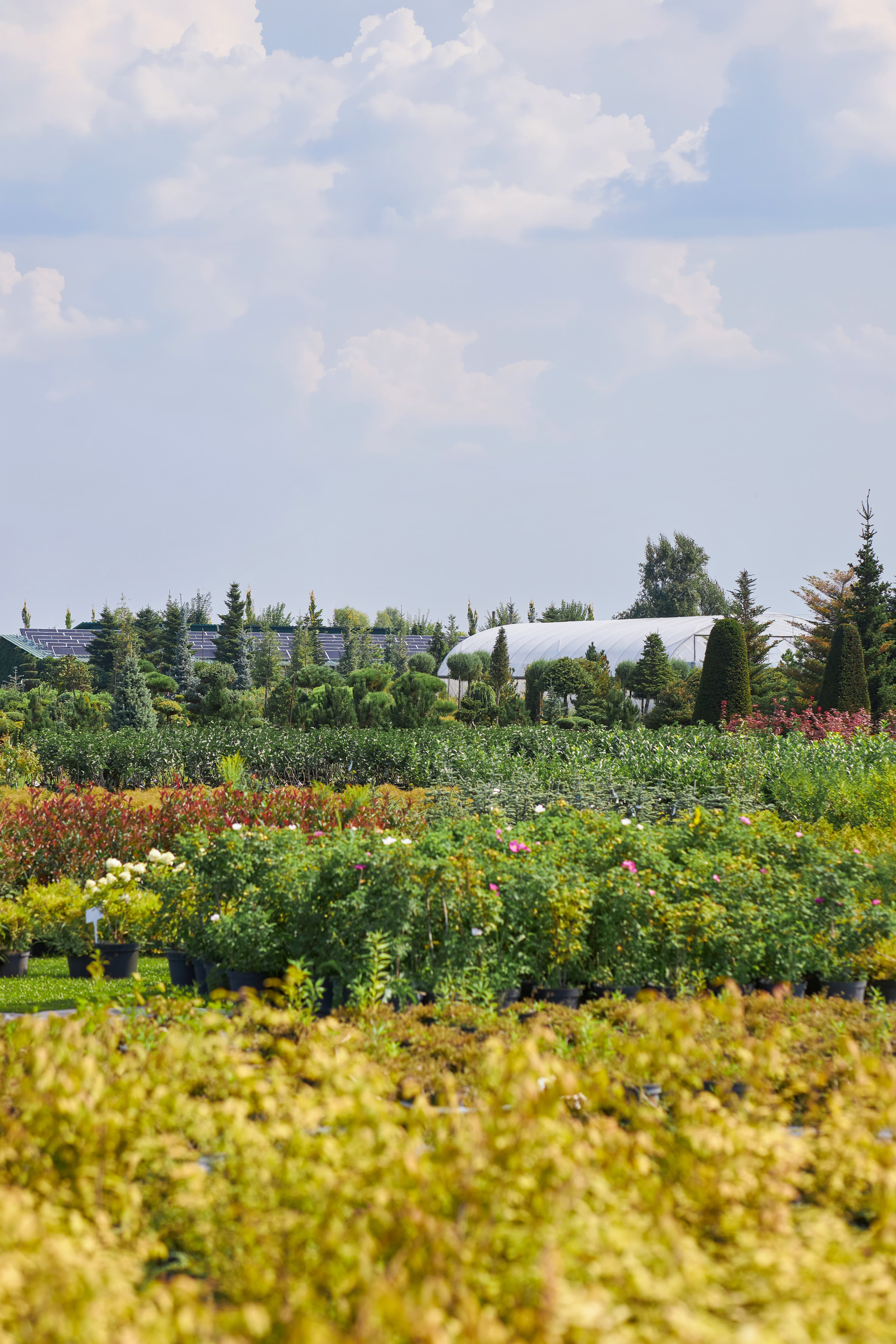 Greenlandia-Ukraine LLC